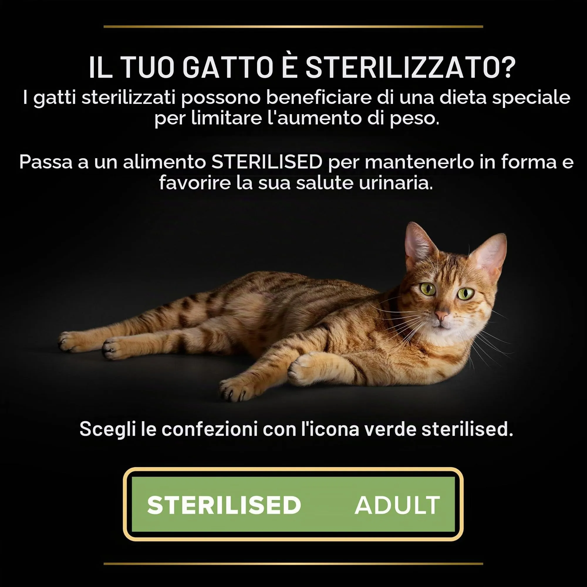 Purina Pro Plan Sterilised Delicate Digestion Crocchette Gatti Adulti Ricco in Pollo 3kg - immagine 5