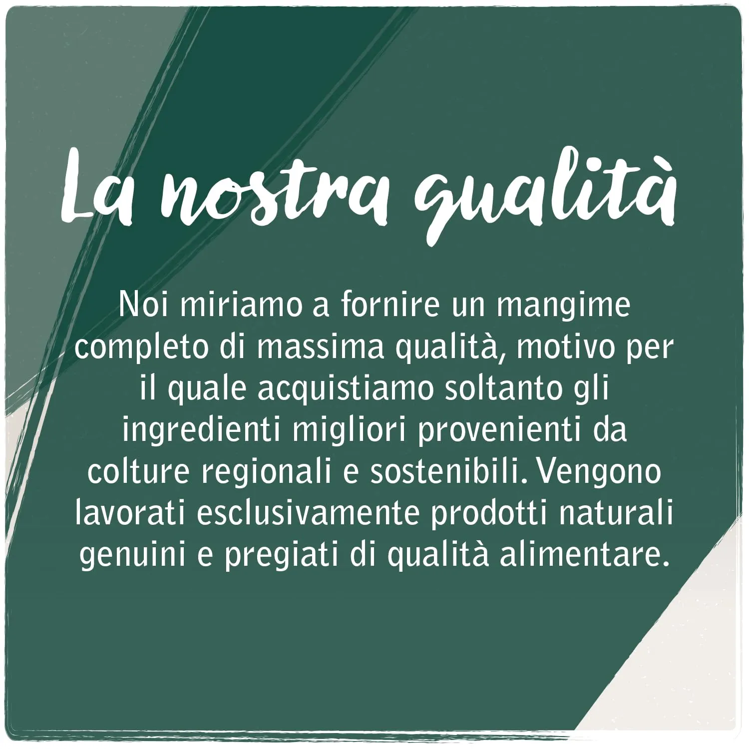 Venandi Animal Salmone come Mangime Secco, Senza Cereali, 1500 g - immagine 2
