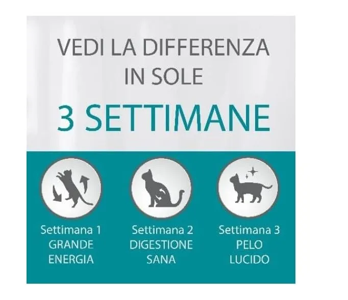 Purina One Bifensis Crocchette Gatti Speciale Pelle e Pelo Pollo e Cereali 800g - immagine 3