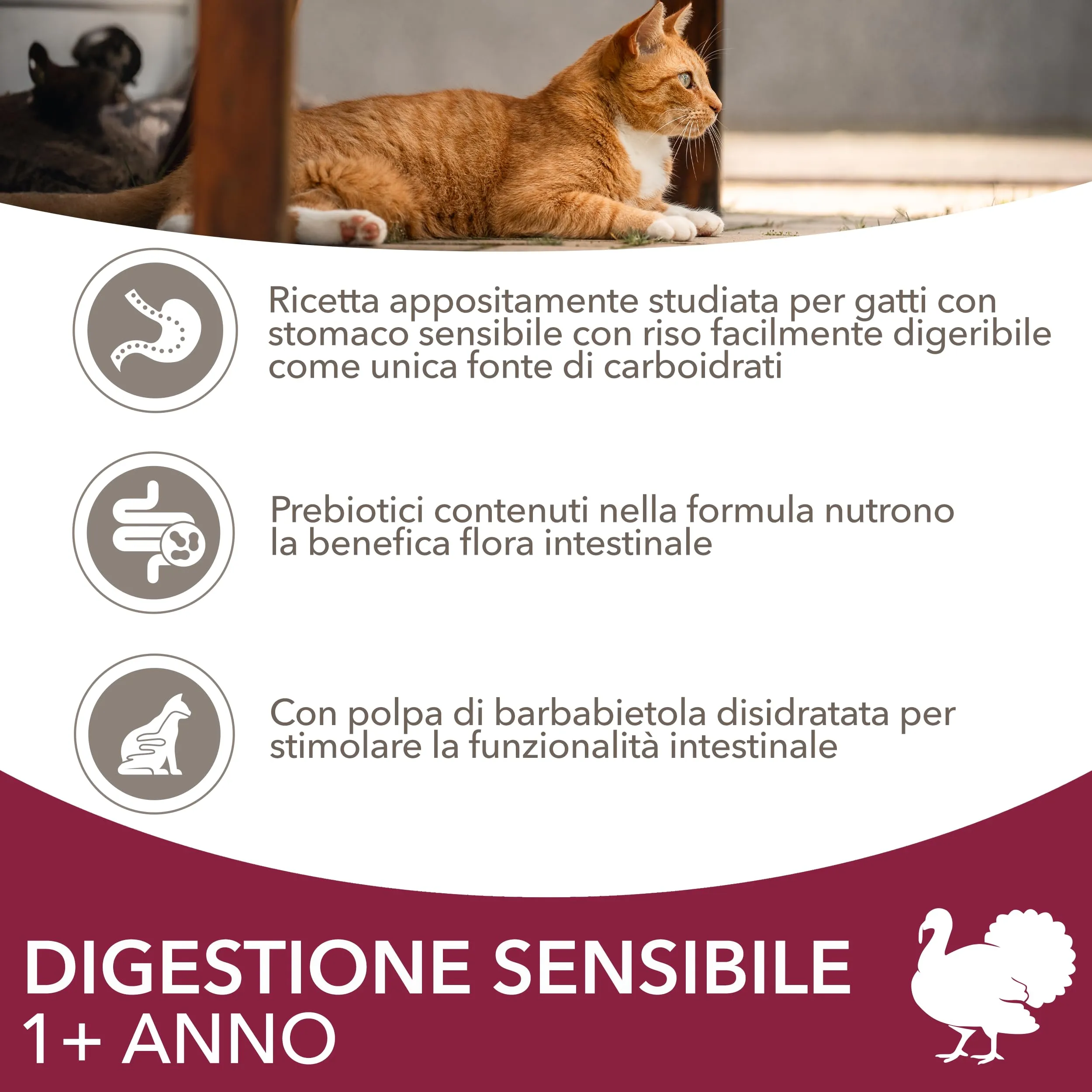 IAMS Sensitive Digestion - Cibo secco per gatti sensibili, 10 kg - immagine 3