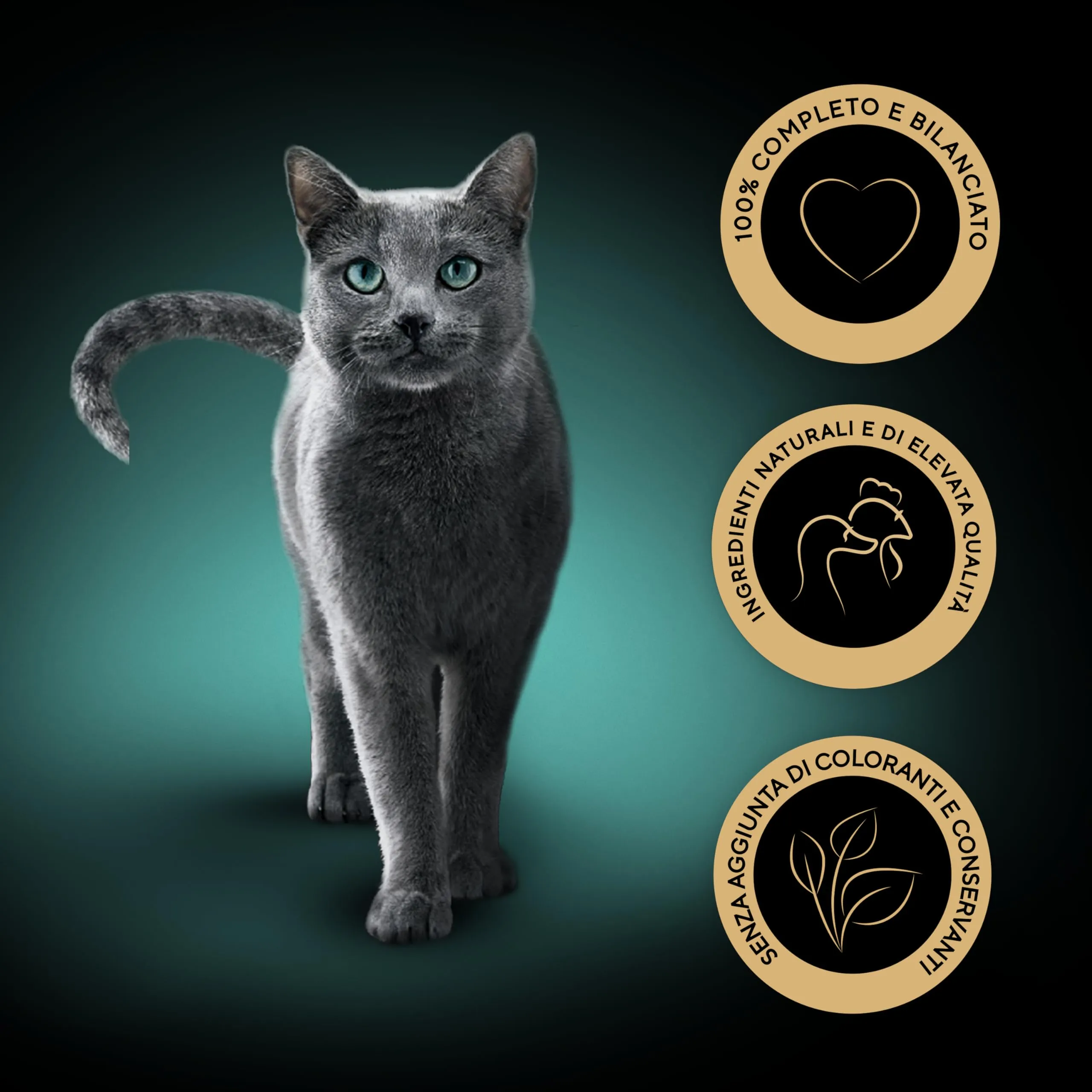 Sheba Kitten Cibo Umido Completo per Gattini, Selezione Assortita in Salsa con Salmone e Pollo, 52 Bustine da 85 g, Totale 4.420g - immagine 2