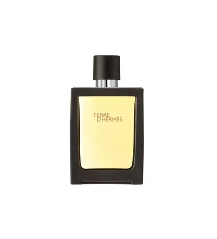 Hermes Terre d'Hermes Eau de Toilette 30ml - Ricaricabile - immagine 1