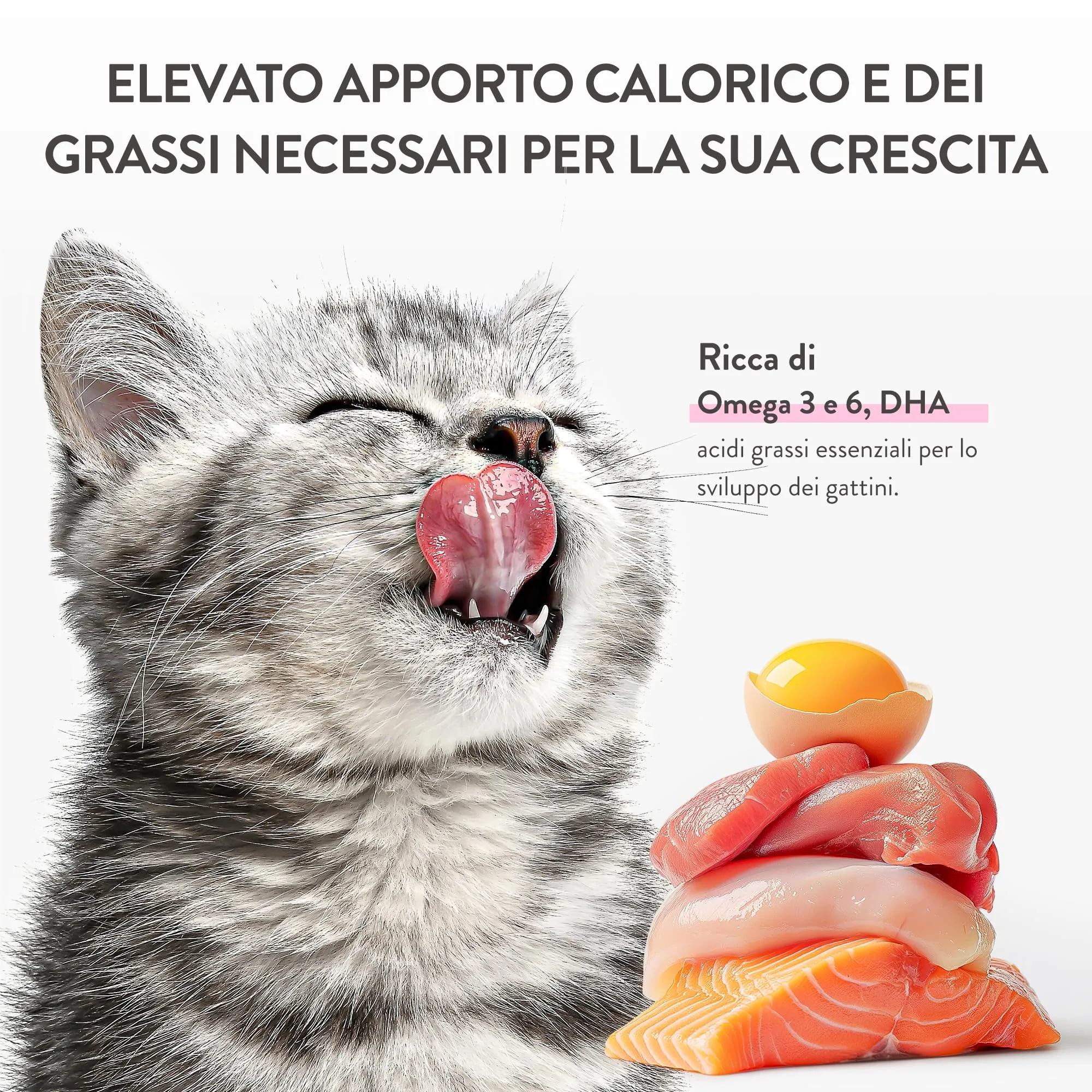 Schesir Baby, Filettini di Pollo con Salmone in Brodo, Alimento Umido Completo per Gattini, Grain Free, con DHA e Taurina, Fonte di Idratazione, 12 x 70 g - immagine 9