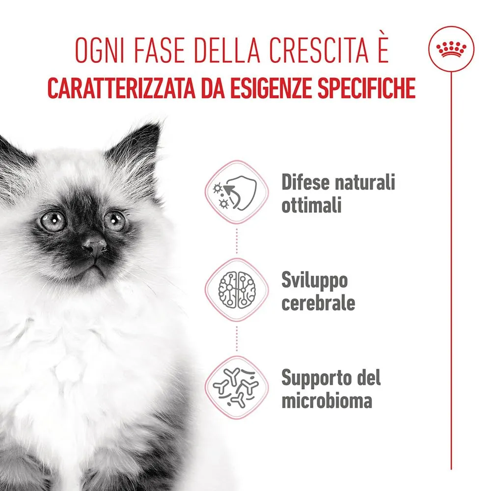ROYAL CANIN Kitten - Alimento secco completo per gattini - 2kg - immagine 2