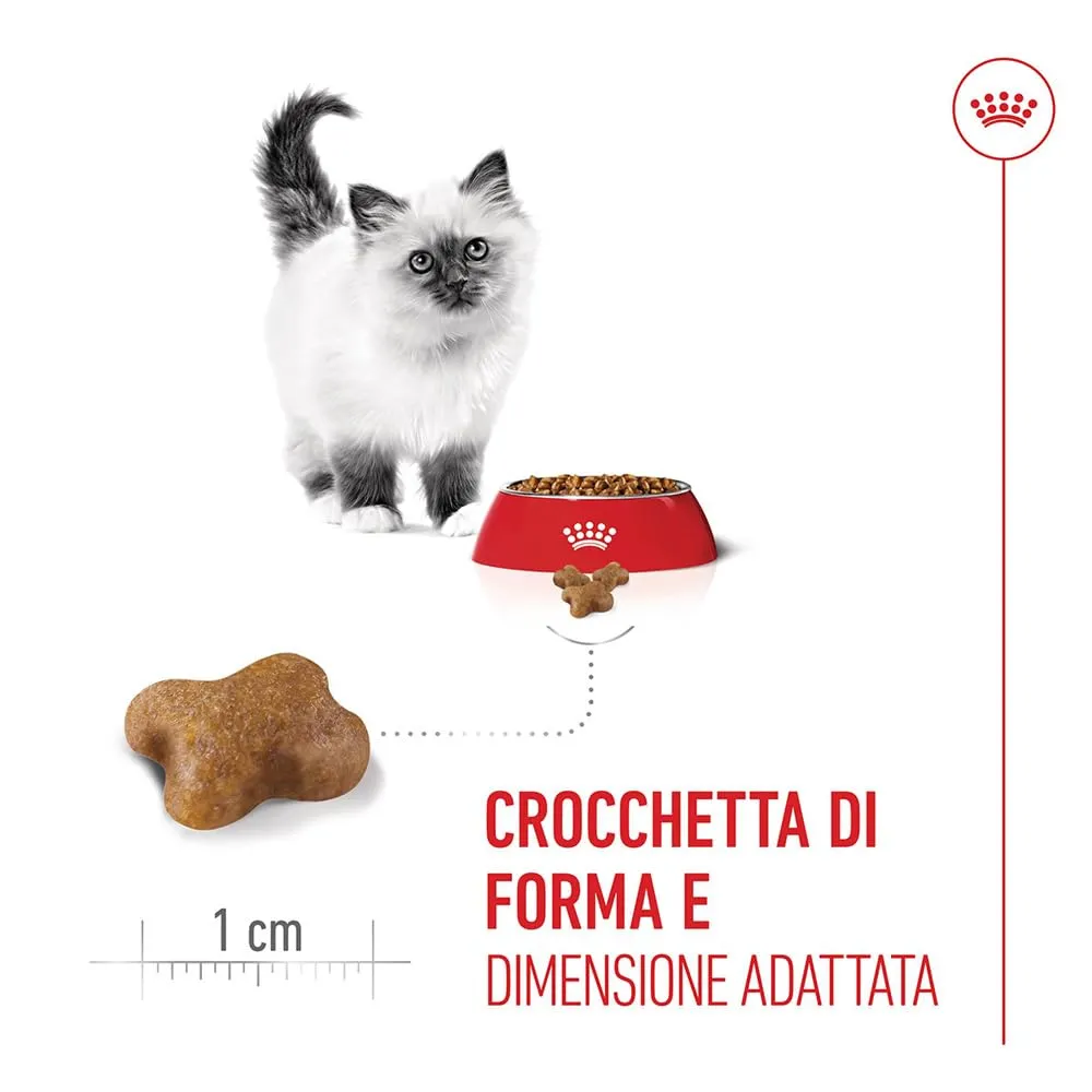 ROYAL CANIN Kitten - Alimento secco completo per gattini - 2kg - immagine 4