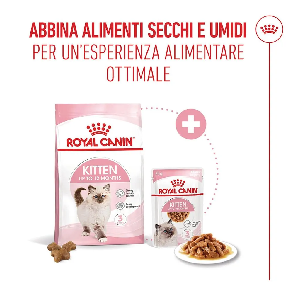 ROYAL CANIN Kitten - Alimento secco completo per gattini - 2kg - immagine 5