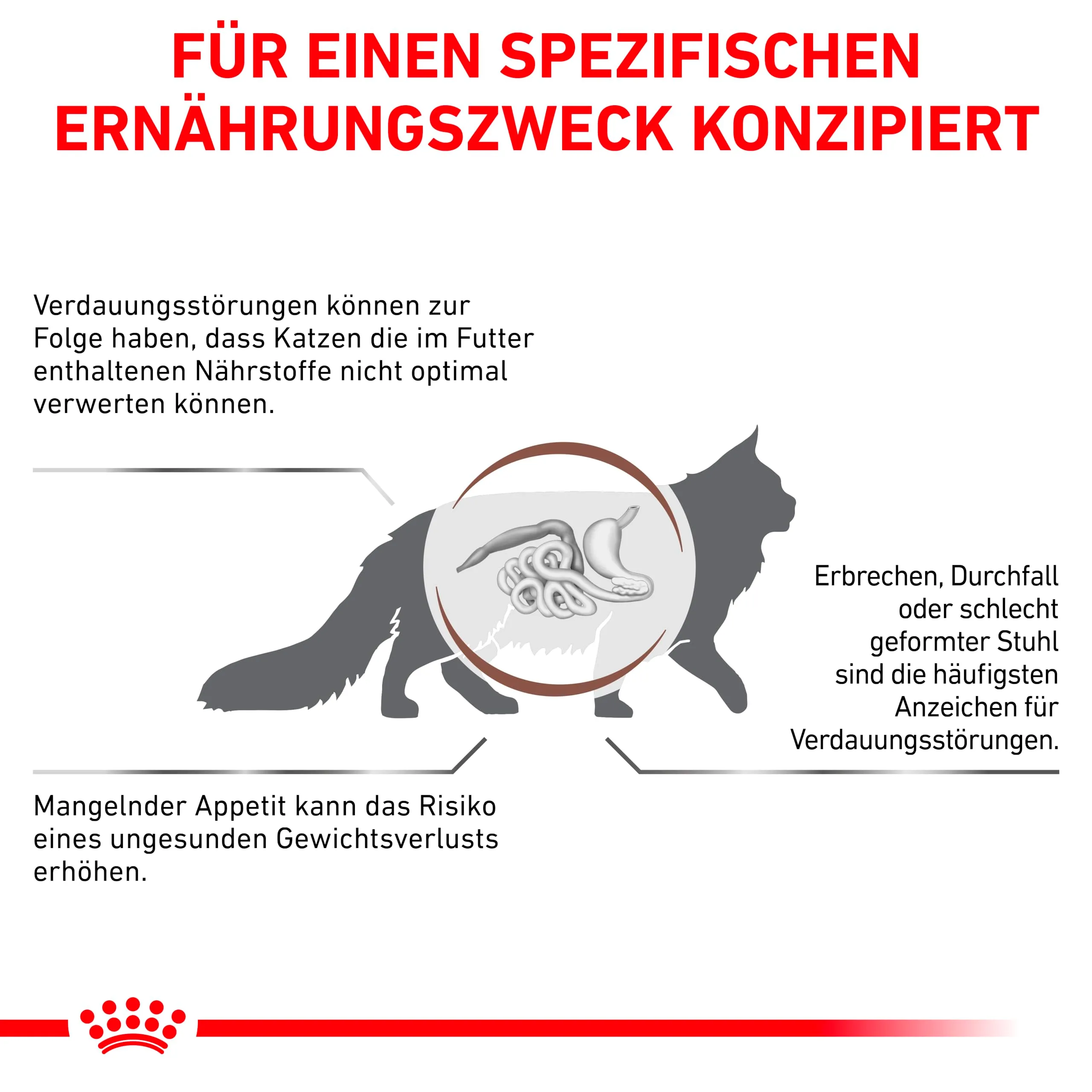 Royal Canin Veterinary Gastrointestinal | 2 kg | Cibo secco per gatti | Può supportare nei disturbi gastrointestinali nei gatti | Alta accettazione - immagine 8