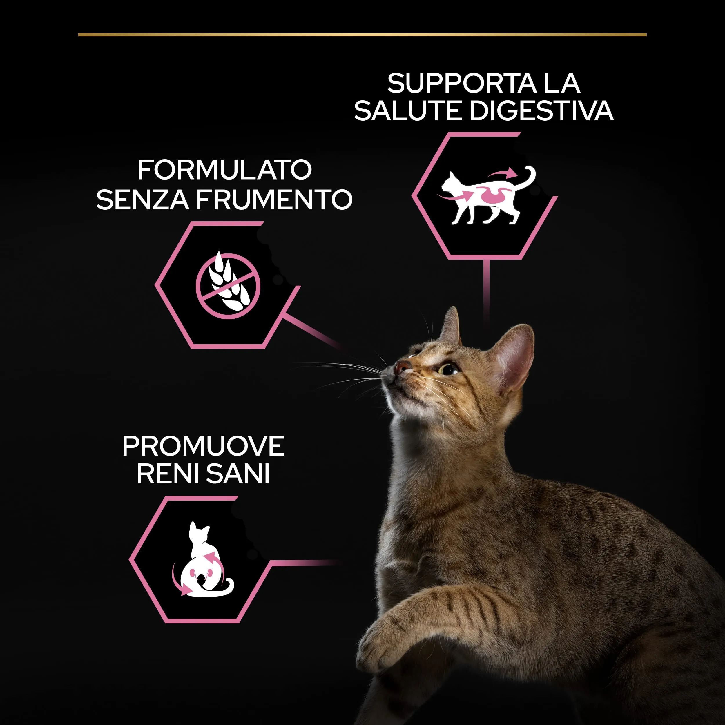 PURINA PRO PLAN Delicate Digestion Sterilised Crocchette per Gatti Adulti Sterilizzati con Pollo 6 sacchi da 1,5kg - immagine 6