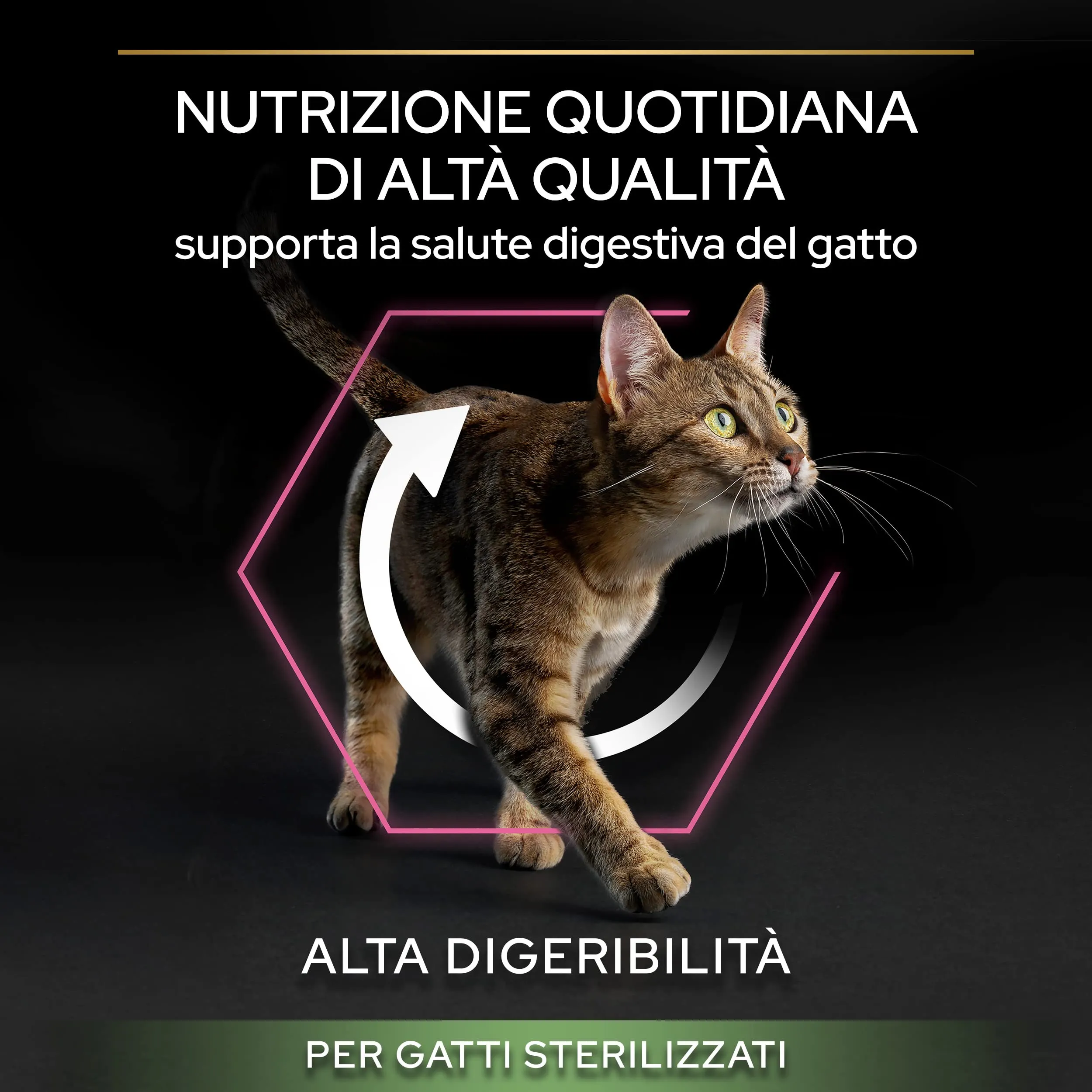 PURINA PRO PLAN Delicate Digestion Sterilised Crocchette per Gatti Adulti Sterilizzati con Pollo 6 sacchi da 1,5kg - immagine 7
