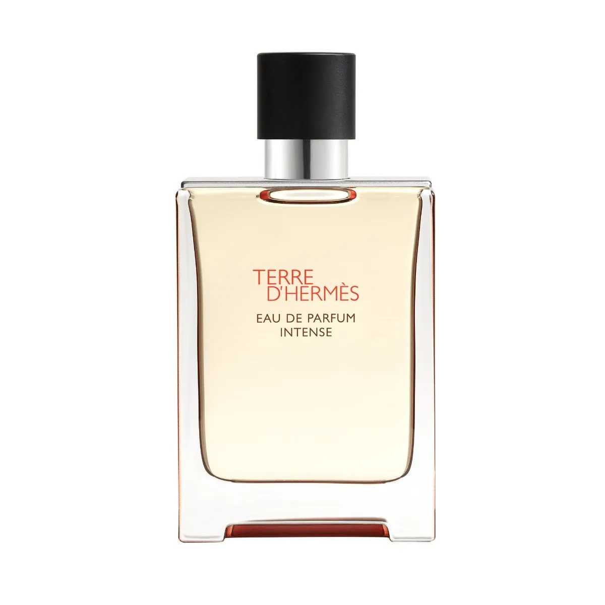 Hermes Terre d'Hermes Eau de Parfum Intense 100ml - immagine 1