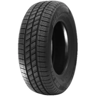 Delinte AW6 VAN 215/70 R15 109/107S - immagine 1