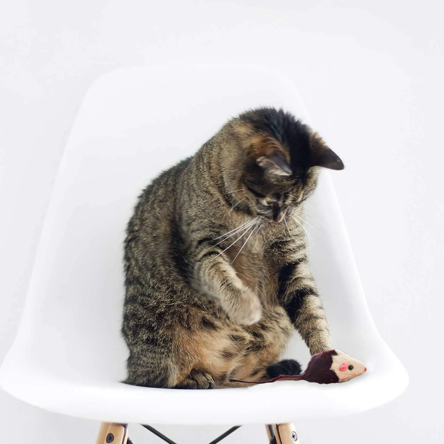Digiflex 4 Topolini Tintinnanti Riempiti di Erba Gatta, Giocattolo per il Gatto - immagine 5