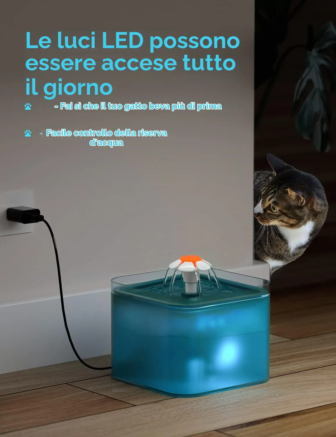 Fontanella per Gatti: Fontana per Gatti Ultra Silenziosa - 2L Dispenser Acqua Gatto Automatico - Dispenser Acqua Cani - Filtrazione Multipla - AONBOY - immagine 7