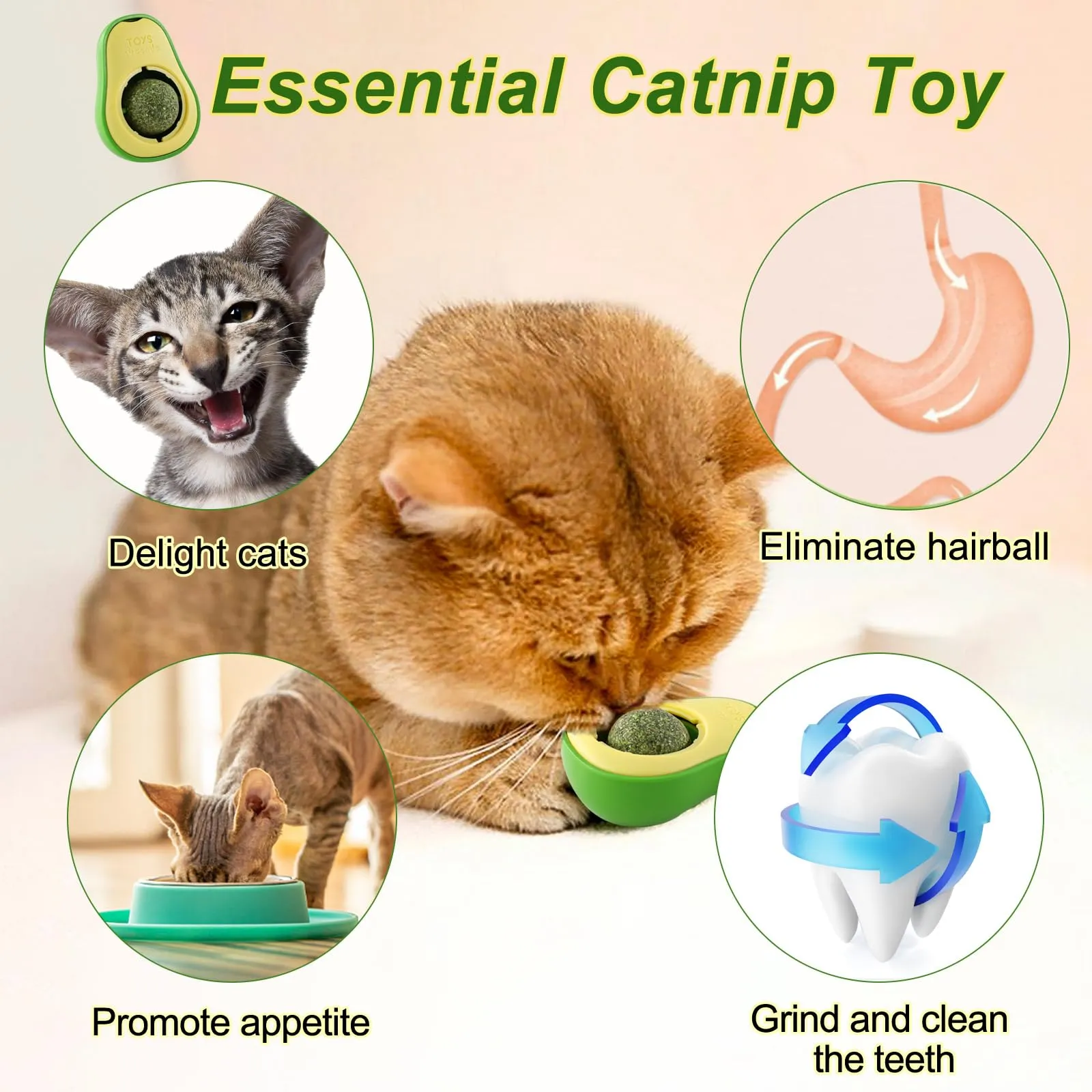 Havenfly 2pcs Palline di Erba Gatta Catnip Ball Rotante Giochi Gatto Giocattolo Interattivo per Gatti Gattino Pulizia Denti - immagine 3