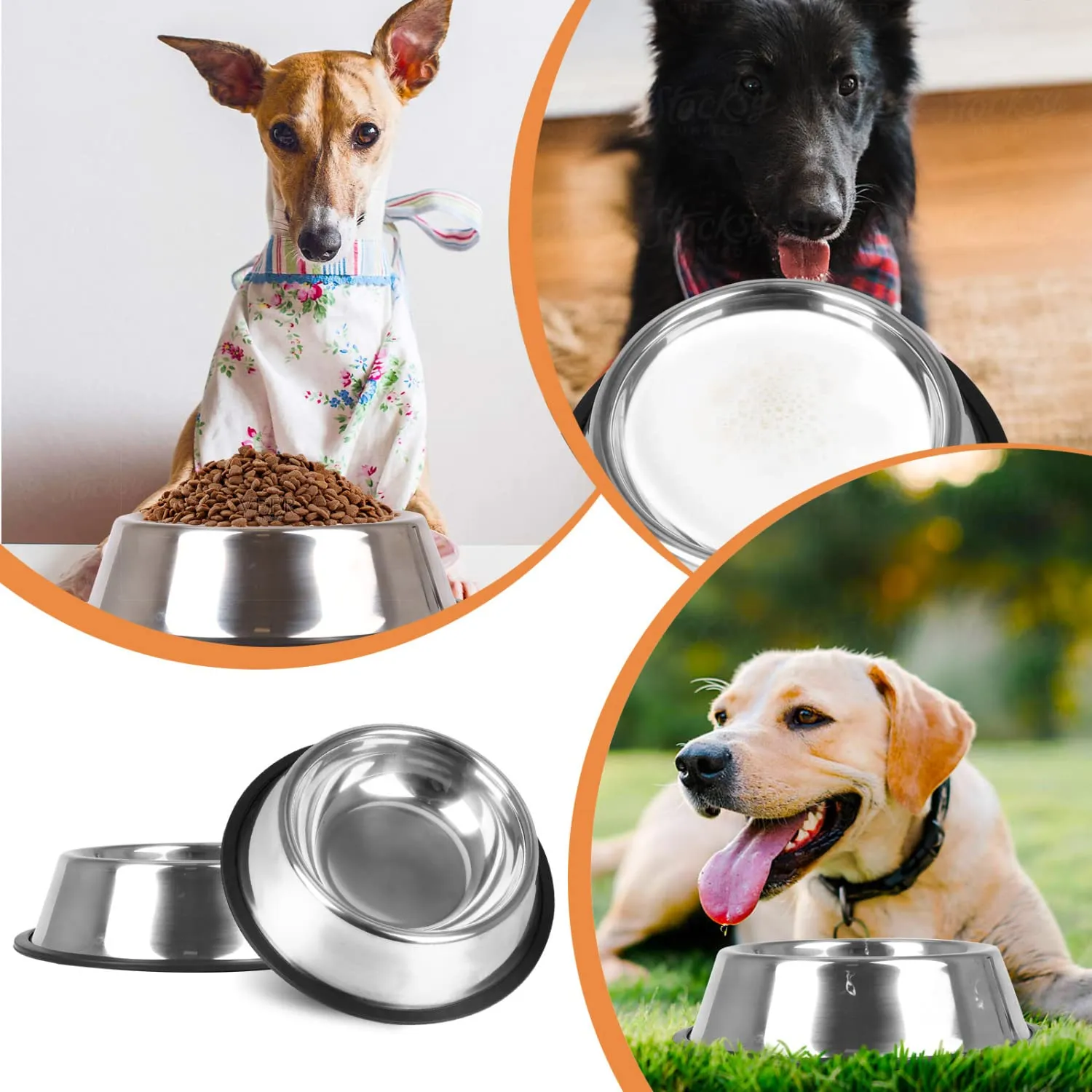 Nobleza - 2 Pack Ciotole per Cani in Acciaio Inox， Lotole per Cani con Base in Gomma Antiscivolo， Ciotola per Acqua e Cibo per Cani di Taglia Media/Grande， Ciotola per Mangiatoia per Cani 22.5CM - immagine 6