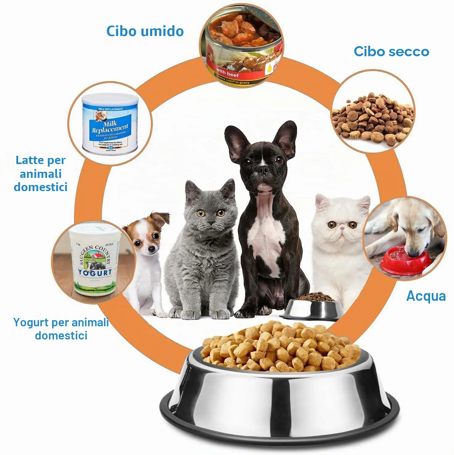 Nobleza - 2 Pack Ciotole per Cani in Acciaio Inox, Lotole per Cani con Base in Gomma Antiscivolo, Ciotola per Acqua e Cibo per Cani, Ciotola per Animali Domestici Taglia Media/Grande 25.5 CM - immagine 5