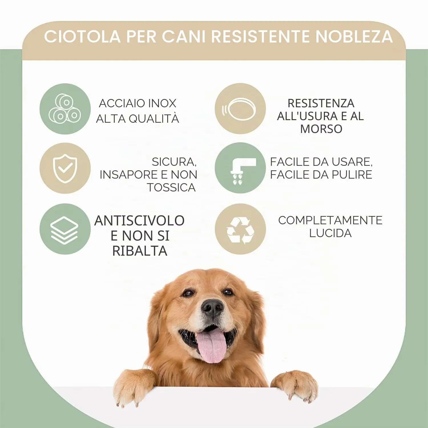 Nobleza - 2 Pack Ciotole per Cani in Acciaio Inox, Lotole per Cani con Base in Gomma Antiscivolo, Ciotola per Acqua e Cibo per Cani, Ciotola per Animali Domestici Taglia Media/Grande 25.5 CM - immagine 7