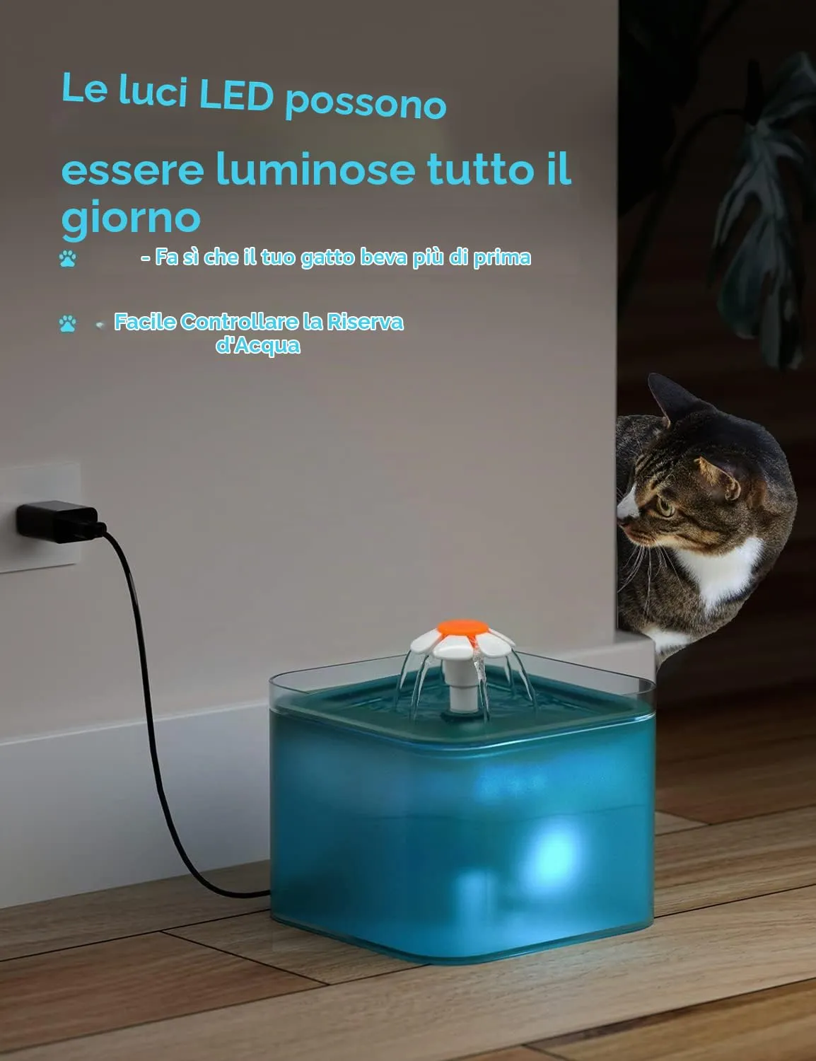 AONBOY Fontanella per Gatti con 6 Filtri (Verde) - immagine 7