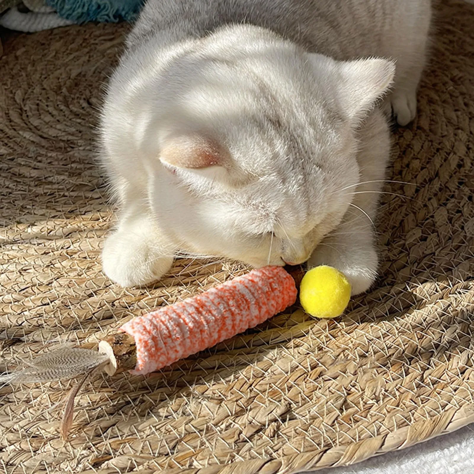 PetGens Bastoncini Erba Gatta per Gatti, Matatabi Naturale Giochi da Masticare Bastoncini per Gatti Denti Catnip Stick(10 PCS) - immagine 2