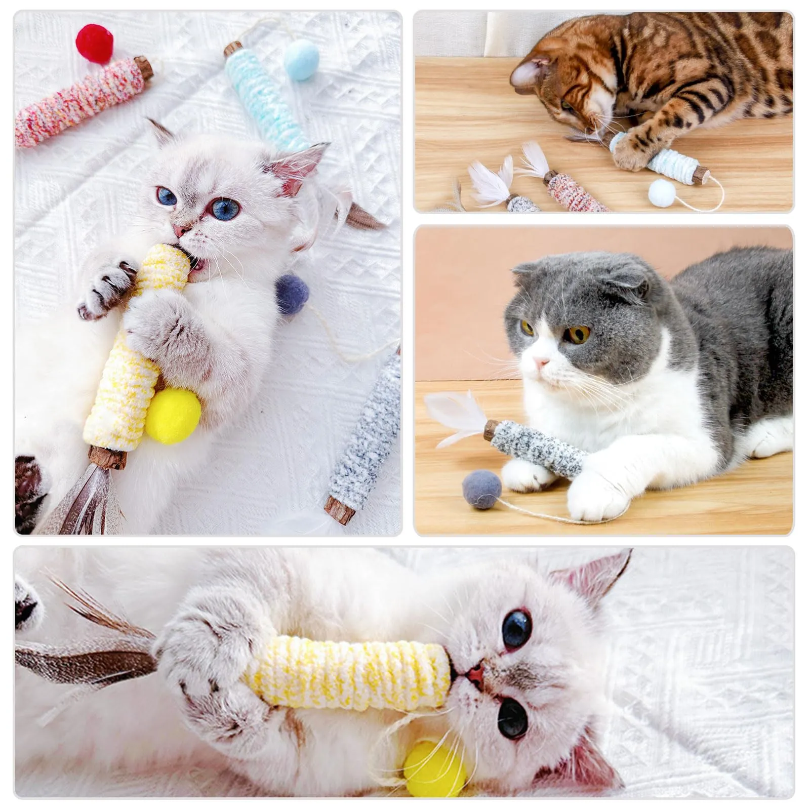 PetGens Bastoncini Erba Gatta per Gatti, Matatabi Naturale Giochi da Masticare Bastoncini per Gatti Denti Catnip Stick(10 PCS) - immagine 5