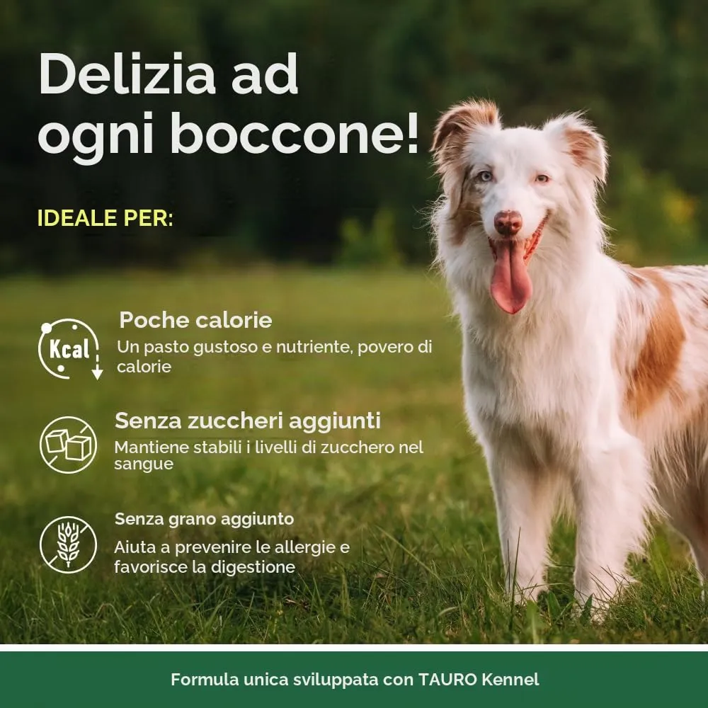 Nature's Protection Superior Care Umido cani, Tonno e salmone 24 x 70 g - immagine 2