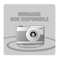 Epson Carta In Rotoli - 189 G/M2 60.96CM X 30.48M C13S041595 - immagine 1