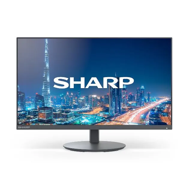 Sharp Multisync DD-E224F DDE224F - immagine 1
