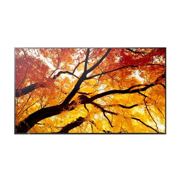 Sharp Multisync M502 PNM502 - immagine 1