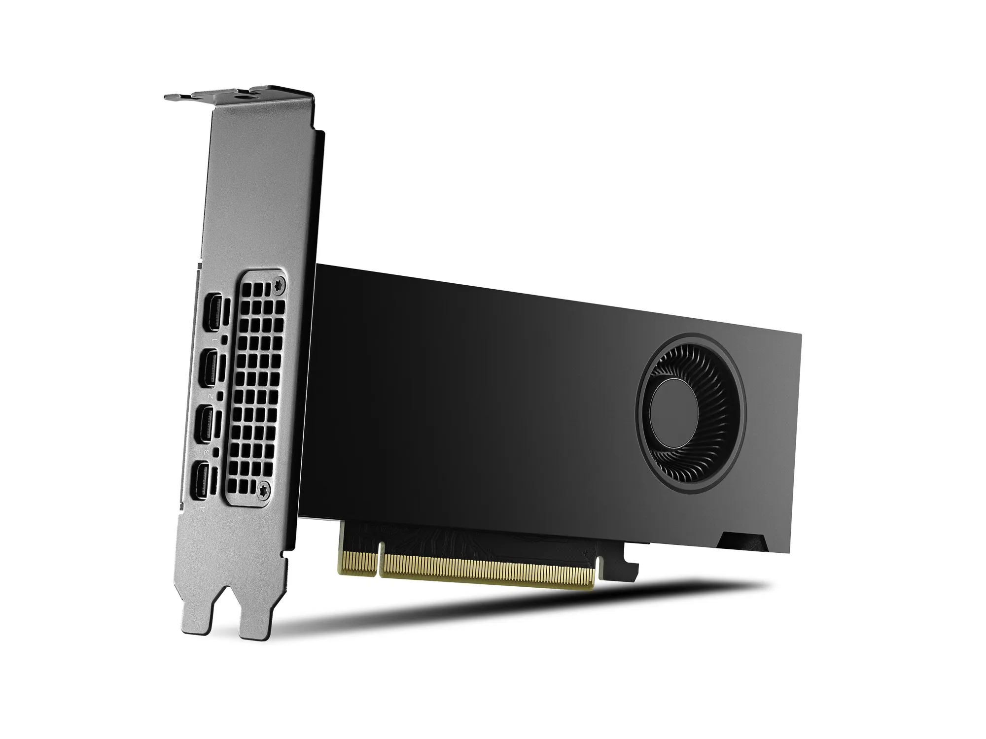 Pny Vga Quadro Rtx 2000 Ada 16Gb Gddr6 4Mdp Vers Oem - immagine 1