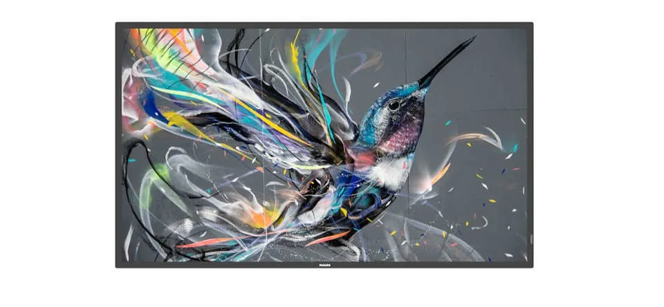 Philips Monitor Digital Signage 50 Q-Line 16:9 4K Uhd 400 Cdm 18/7 Cmnd Lan Dvi/Hdmi - immagine 1
