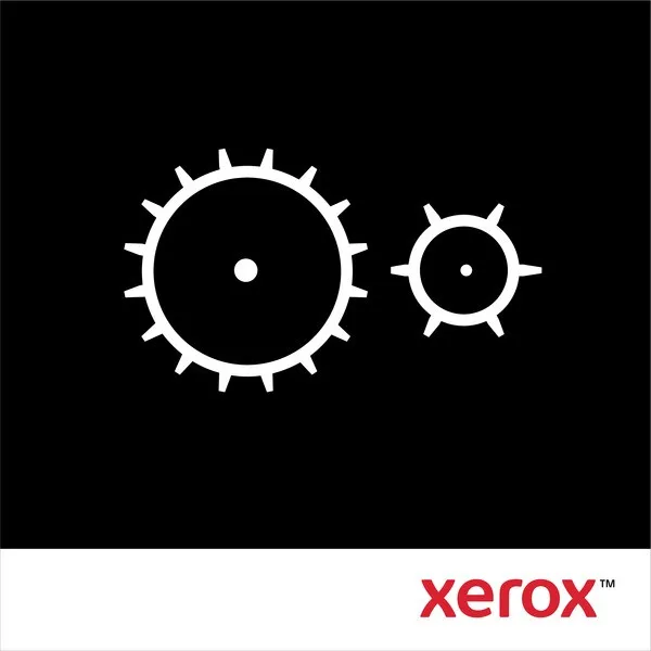 Xerox Phaser 5500/5550 - Kit di manutenzione 220 Volt (300.000 pagine) - immagine 1