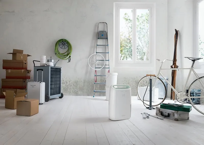 De'longhi Deumidificatore Dex212sf Bianco - immagine 1