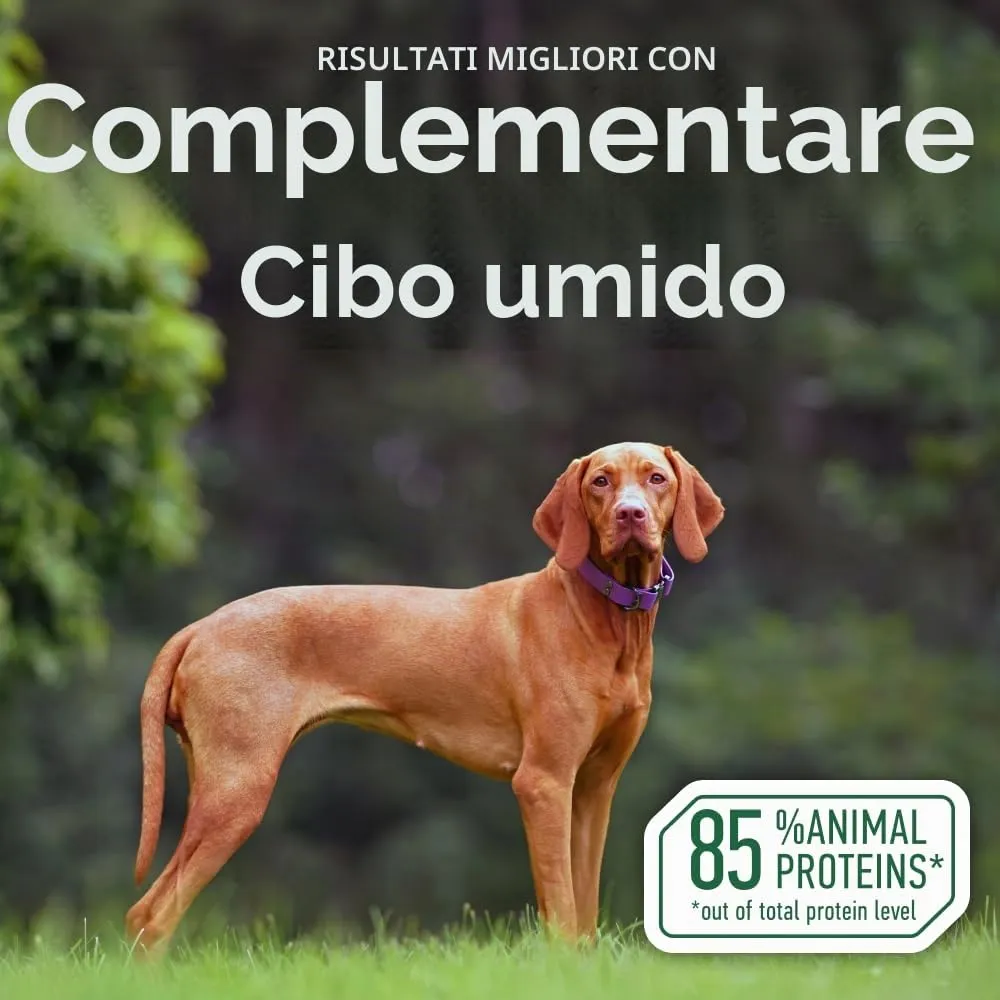 Nature's Protection Superior Care Umido cani, Tonno 24 x 70 g - immagine 9