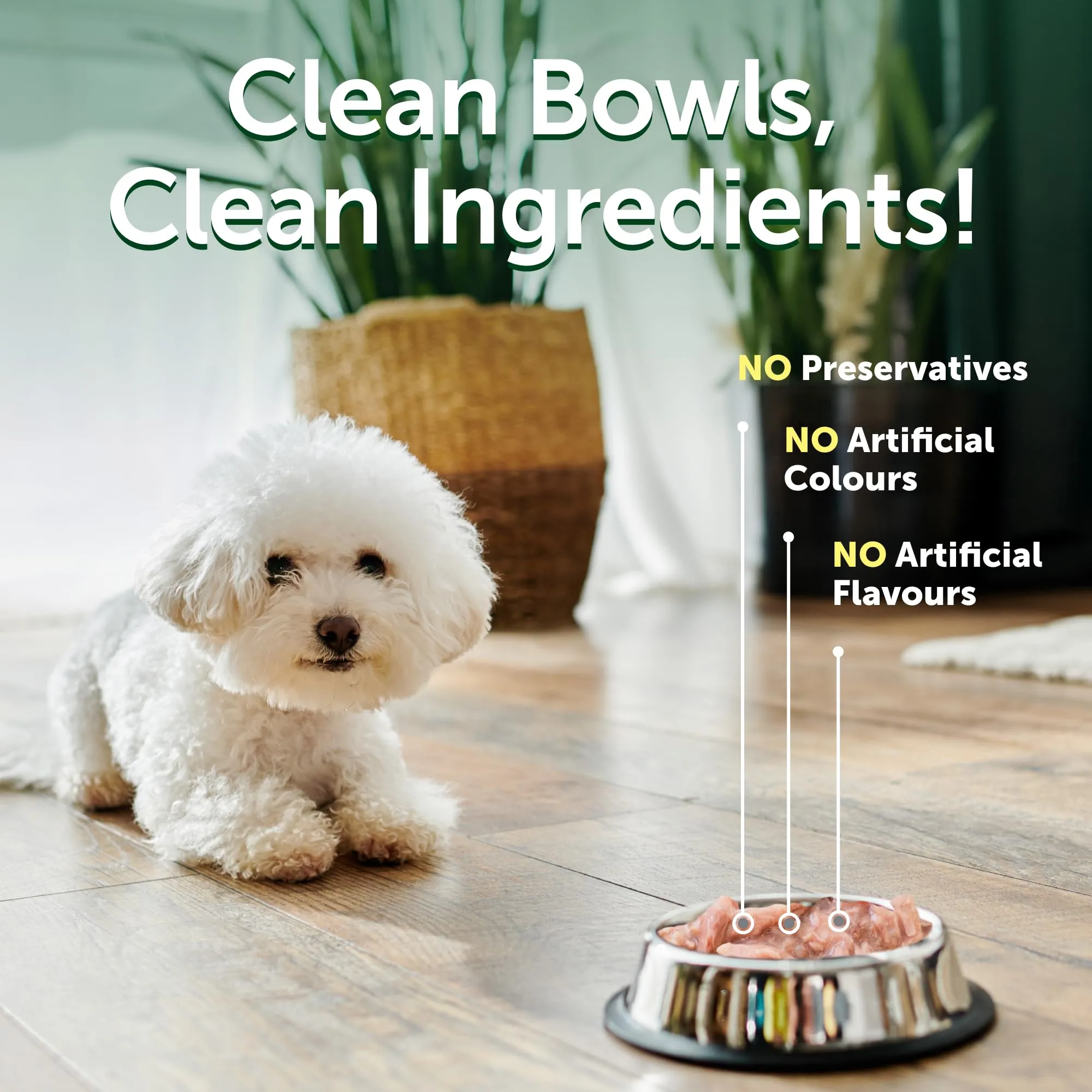 Nature's Protection Superior Care Umido cani, Tonno 24 x 70 g - immagine 4