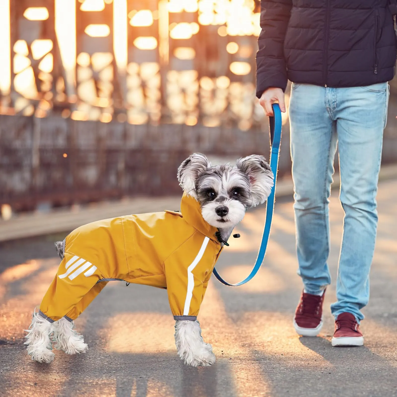 Amexo Impermeabile per cani Cappotto impermeabile con foro per il collo regolabile a 4 zampe per animali domestici, poncho con cappuccio, striscia riflettente per cani di piccola taglia (L) - immagine 7