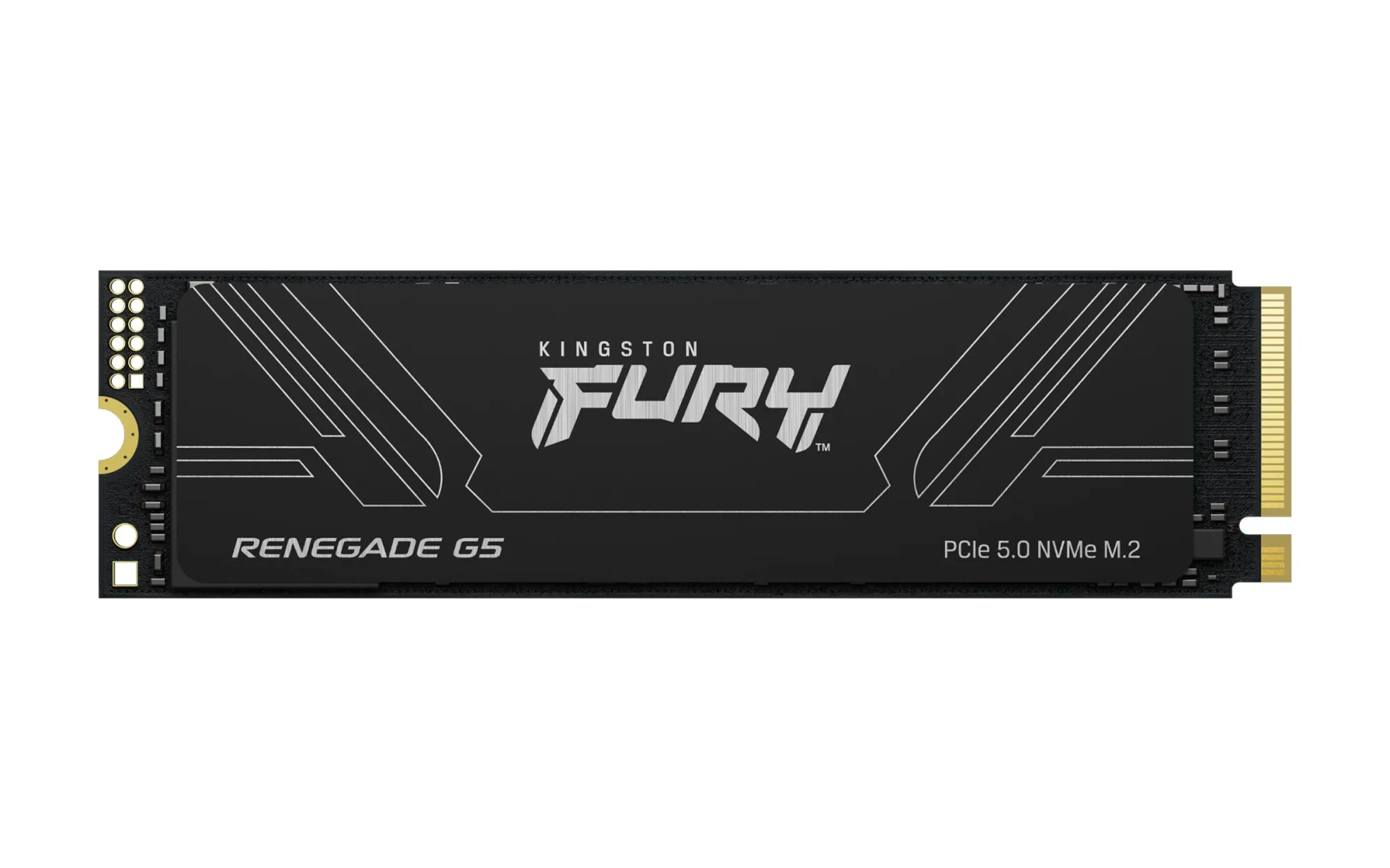 Kingston Technology 1T FURY RENEGADE G5 M.2 2280 NVMe SSD - immagine 1