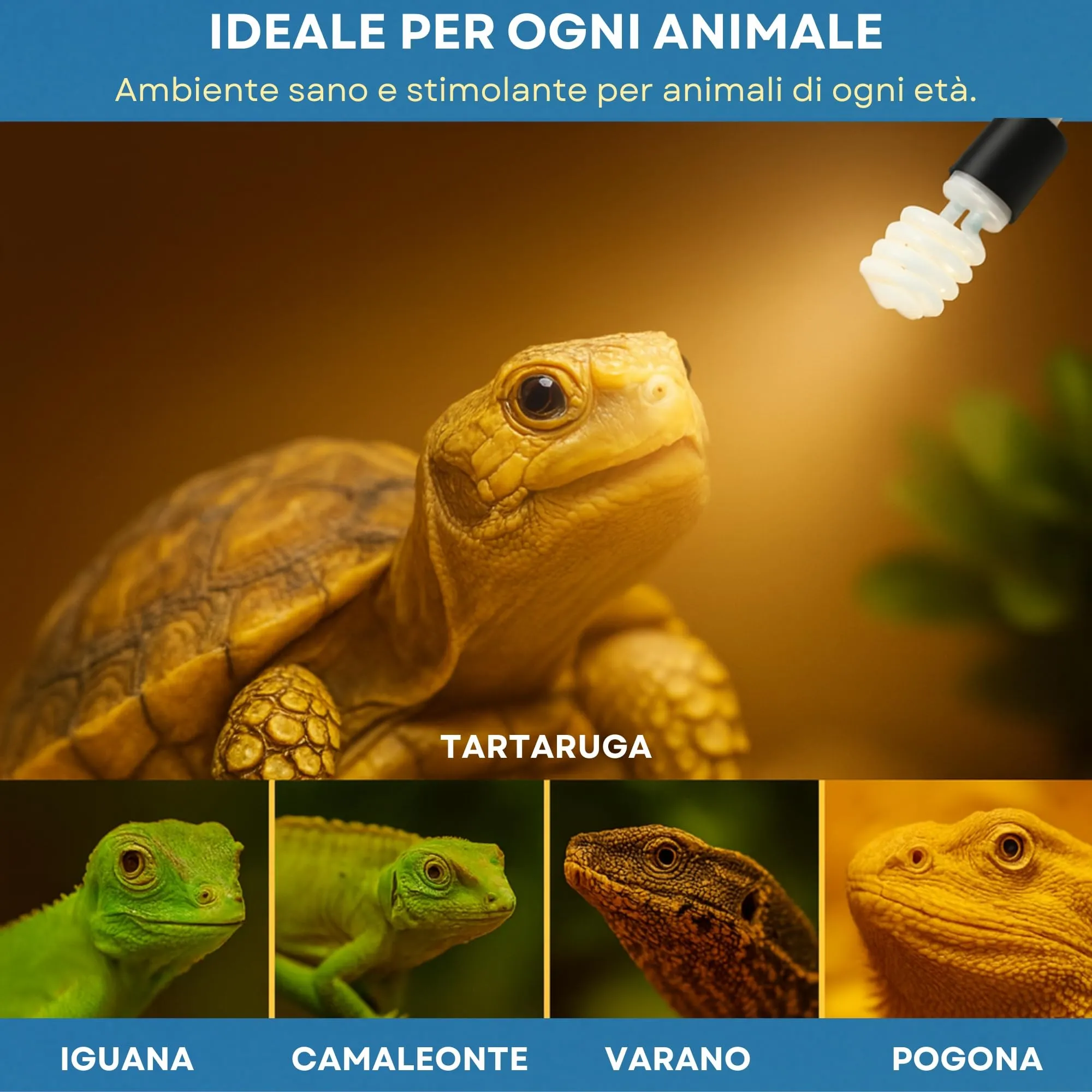 Lampada UVB rettili 13 W 5.0 + Portalampada Con Pinza e Interruttore kit Completo Per Tartarughe da terra e Piccoli Animali Lucertole Iguana Camaleonti Pogone Varani ecc..Pet Tribe - immagine 6