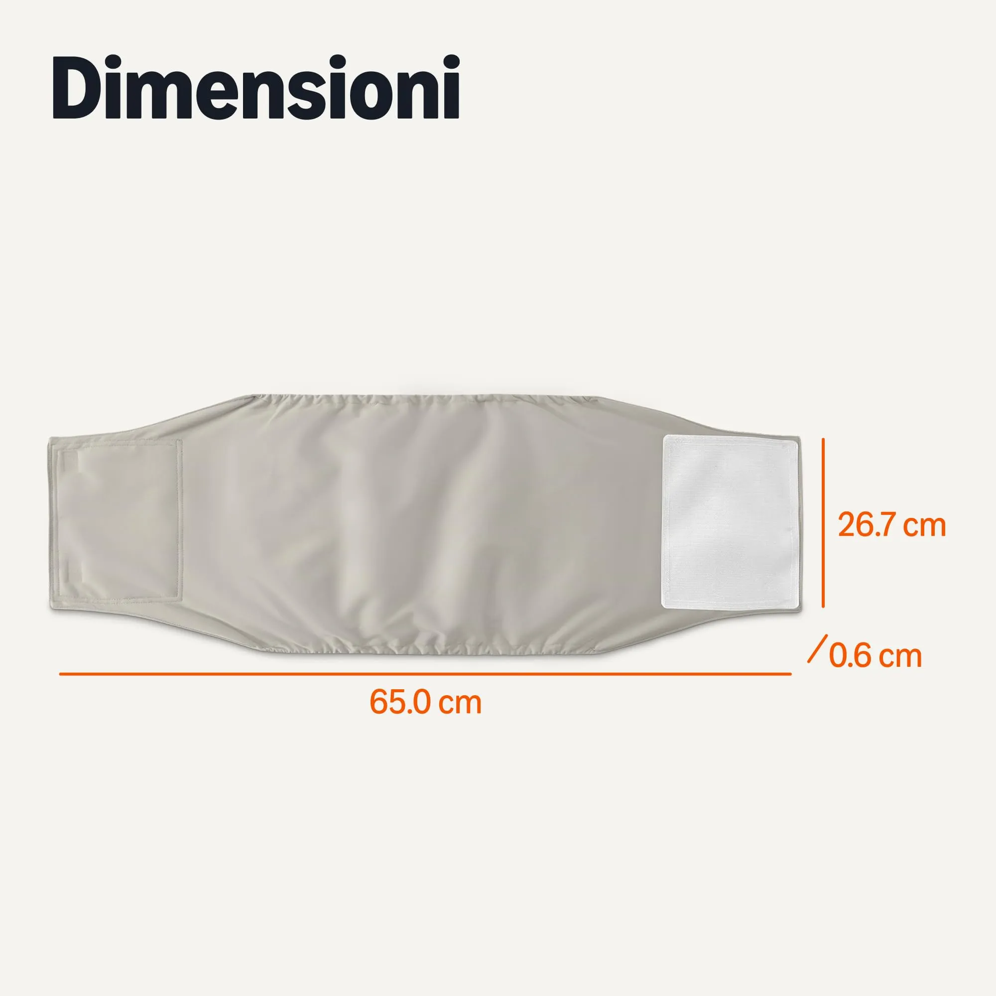 Amazon Basics, Confezione da 3 pannolini lavabili per cani maschi, taglia XL - immagine 4