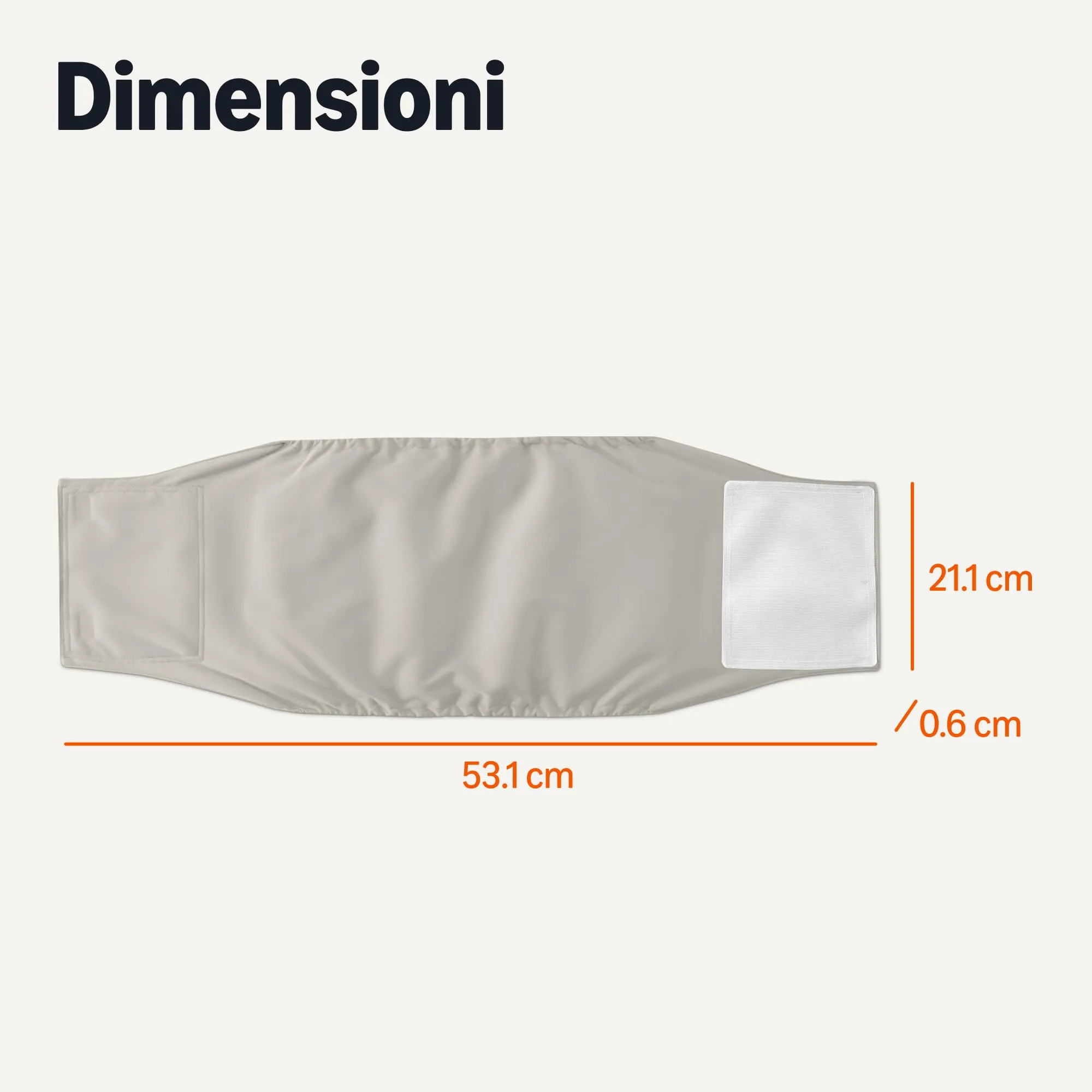 Amazon Basics, Confezione da 3 pannolini lavabili per cani maschi, taglia L - immagine 4