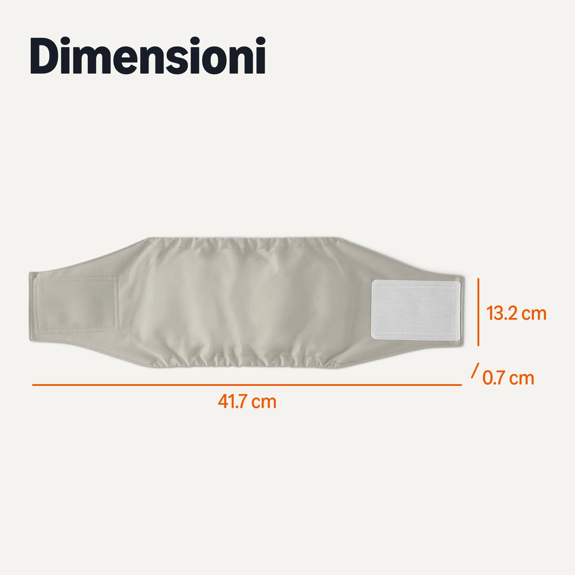 Amazon Basics, Confezione da 3 pannolini lavabili per cani maschi, taglia S - immagine 4