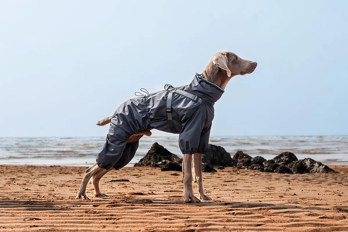 BT Bear Impermeabile con Pettorina per Cani, Giacca Regolabile a 4 Zampe per Cani con Pettorina Tuta Riflettente Impermeabile per Cani di Taglia Media e Grande, Grigio 5XL - immagine 2