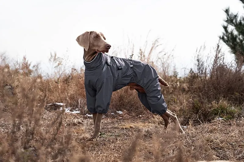 BT Bear Impermeabile con Pettorina per Cani, Giacca Regolabile a 4 Zampe per Cani con Pettorina Tuta Riflettente Impermeabile per Cani di Taglia Media e Grande, Grigio 5XL - immagine 7