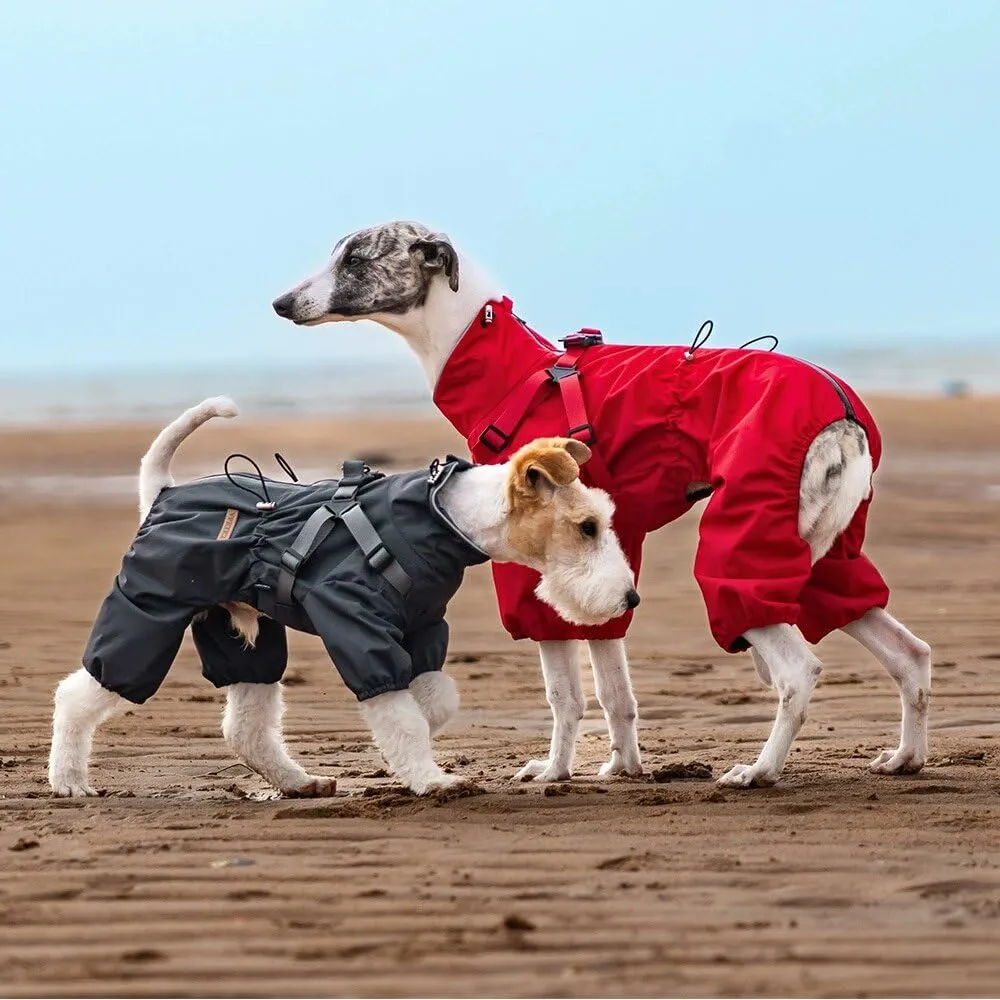 BT Bear Impermeabile con Pettorina per Cani, Giacca Regolabile a 4 Zampe per Cani con Pettorina Tuta Riflettente Impermeabile per Cani di Taglia Media e Grande, Rosso 5XL - immagine 2