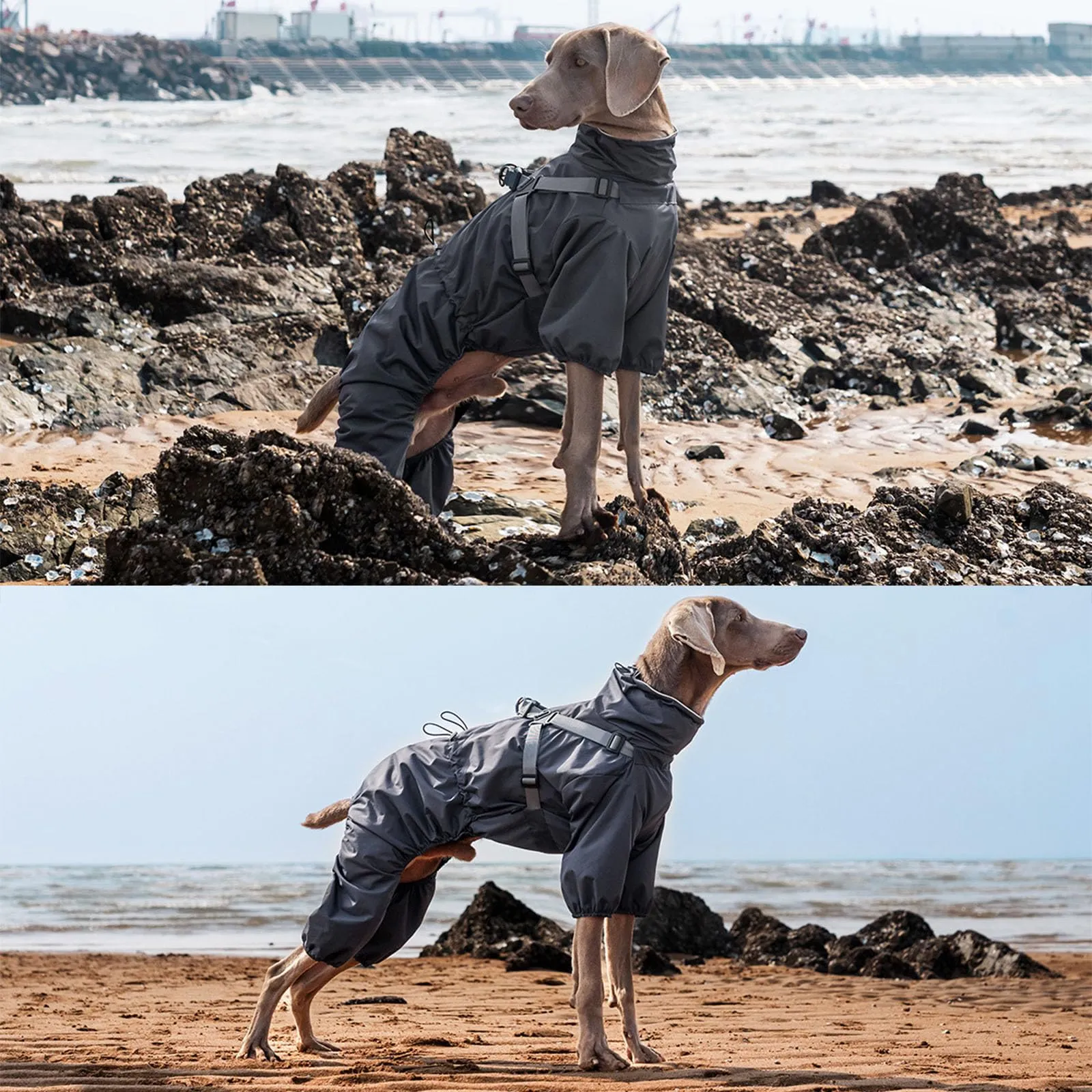BT Bear Impermeabile con Pettorina per Cani, Giacca Regolabile a 4 Zampe per Cani con Pettorina Tuta Riflettente Impermeabile per Cani di Taglia Media e Grande, Grigio 4XL - immagine 5