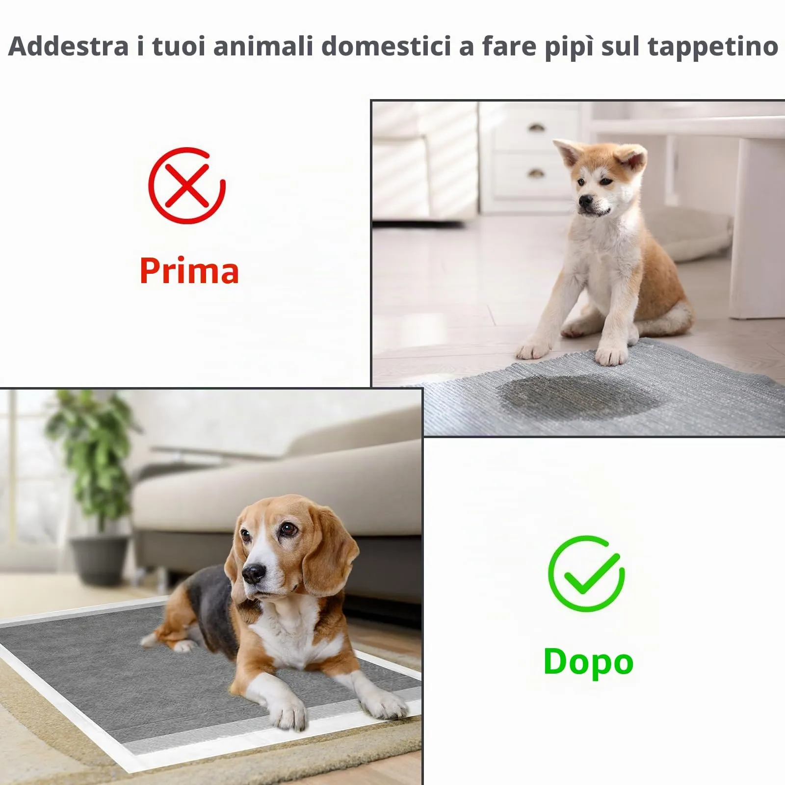 Nanipets® Tappetini Igienici Per Cani Al Carbone Attivo, Assorbenti Super Assorbenti Traverse Cani E Animali Domestici, 45*60 CM Assorbenti Extra Large Addensati Per Vasino, Confezione Da 50 - immagine 3
