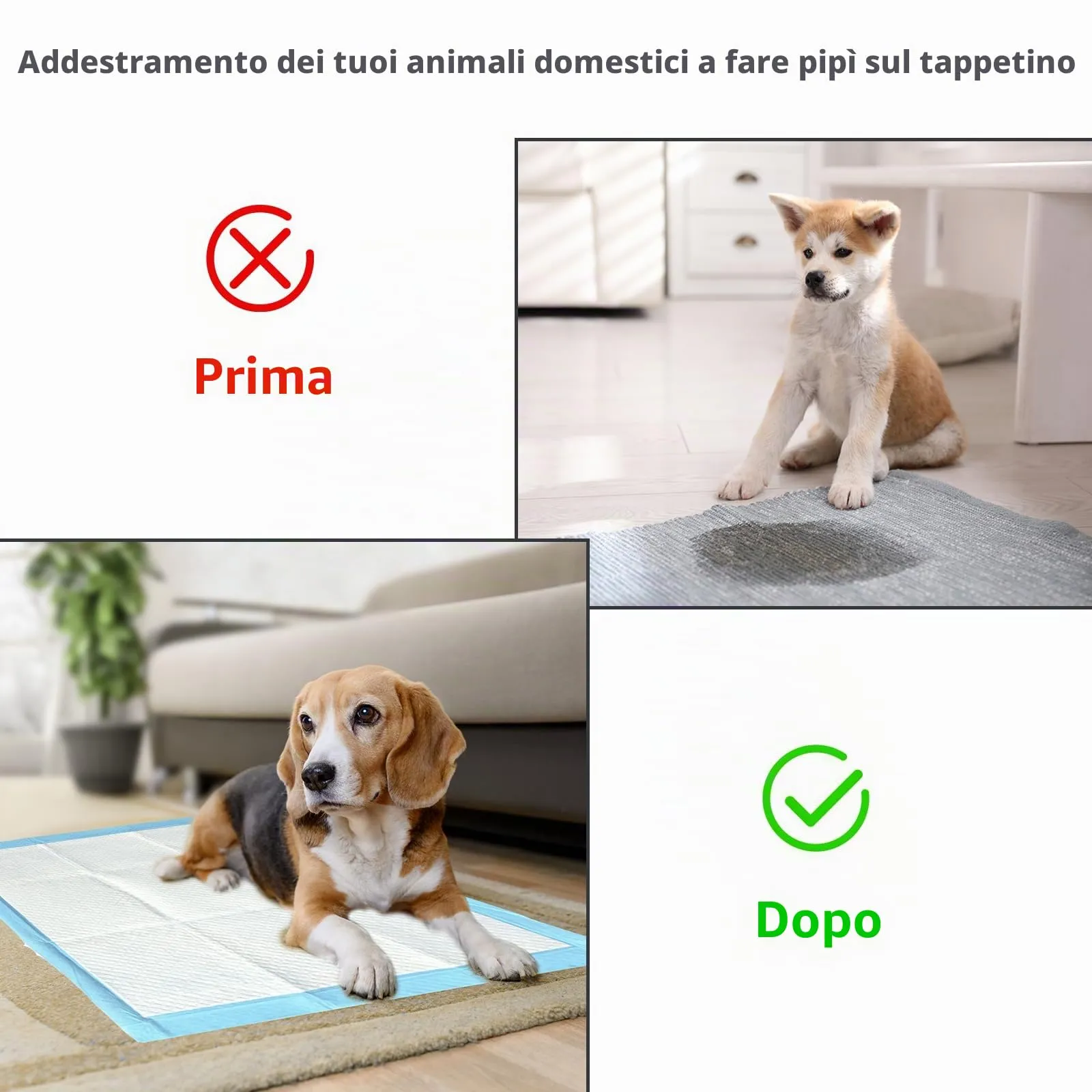 Nanipets® Tappetini Igienici Per Cani, Assorbenti Super Assorbenti Traverse Cani E Animali Domestici, 45 x 60 CM Assorbenti Extra Large Addensati Per Vasino, Confezione Da 50 - immagine 3