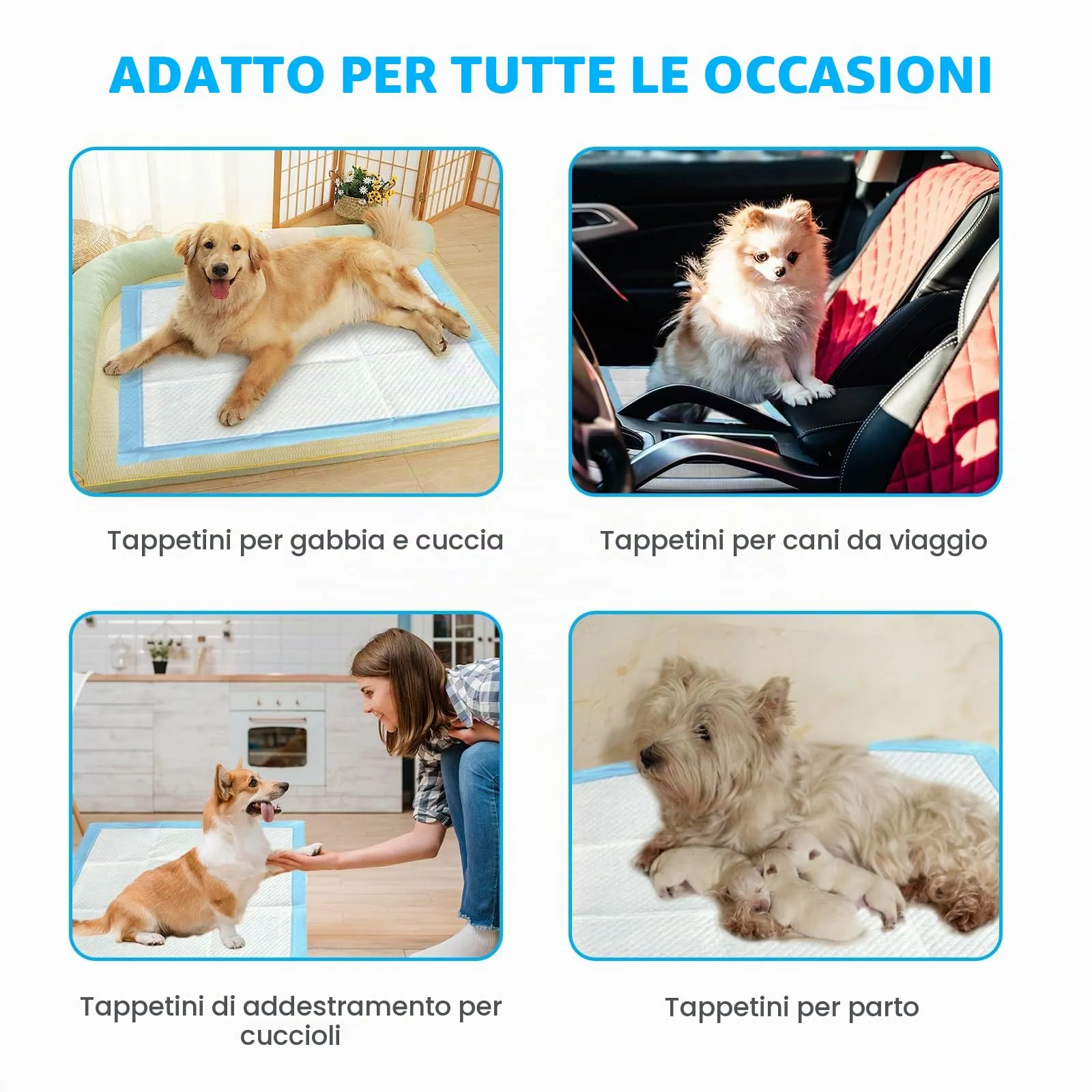Nanipets® Tappetini Igienici Per Cani, Assorbenti Super Assorbenti Traverse Cani E Animali Domestici, 45 x 60 CM Assorbenti Extra Large Addensati Per Vasino, Confezione Da 50 - immagine 6