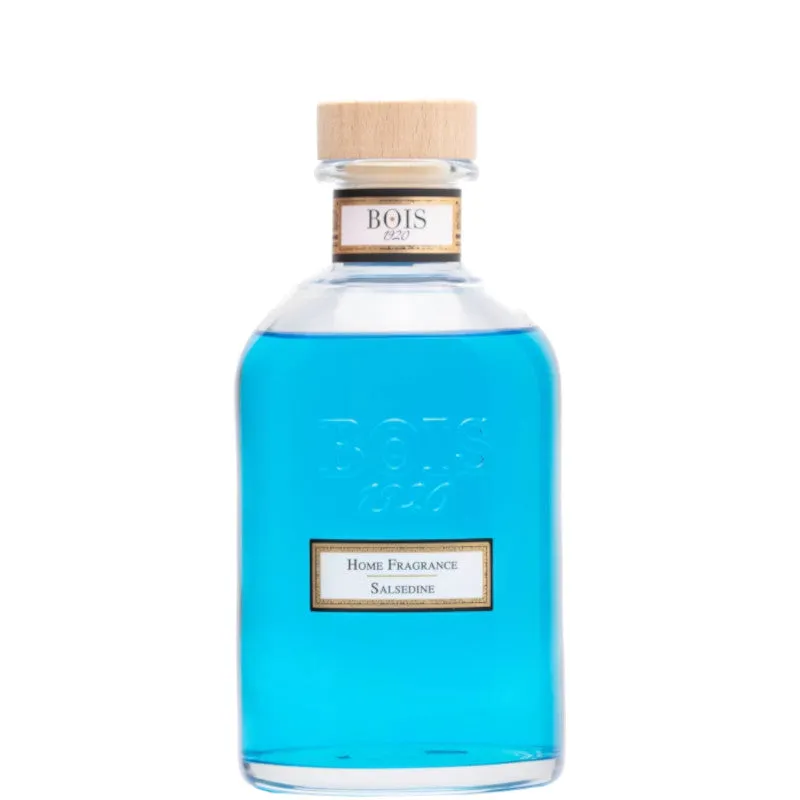 Bois 1920 Salsedine - 500 ML - immagine 1