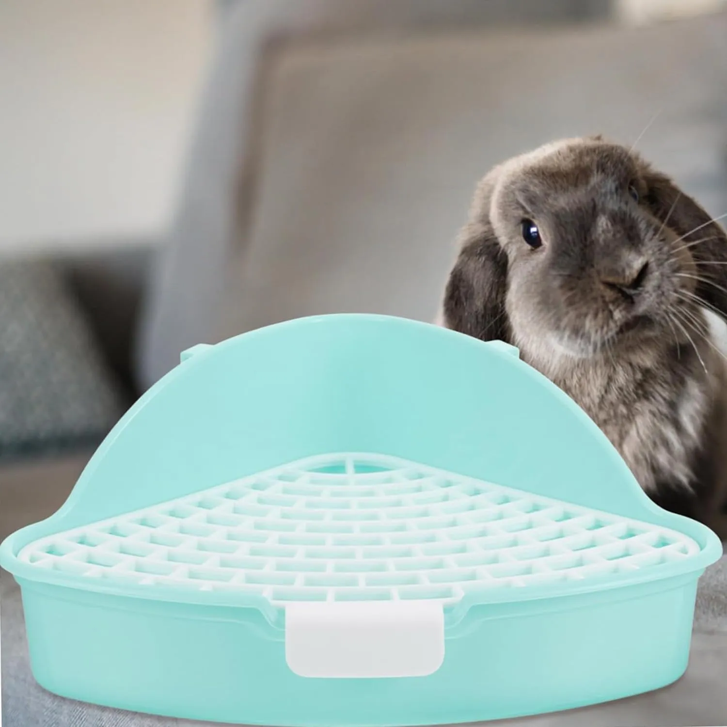 MEISO Toilette per Coniglio, Toilette per Animali Domestici, Vasino Addestrativo per Criceti, Toilette per Animali di Piccola Taglia di Triangolo per Coniglietti, Cincillà, Cavia (Blu) - immagine 6