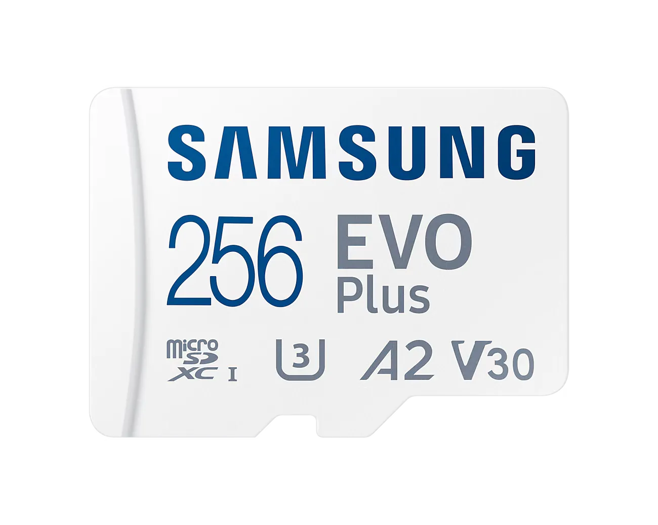 Samsung EVO Plus microSD Memory Card 256GB (2024) - immagine 1